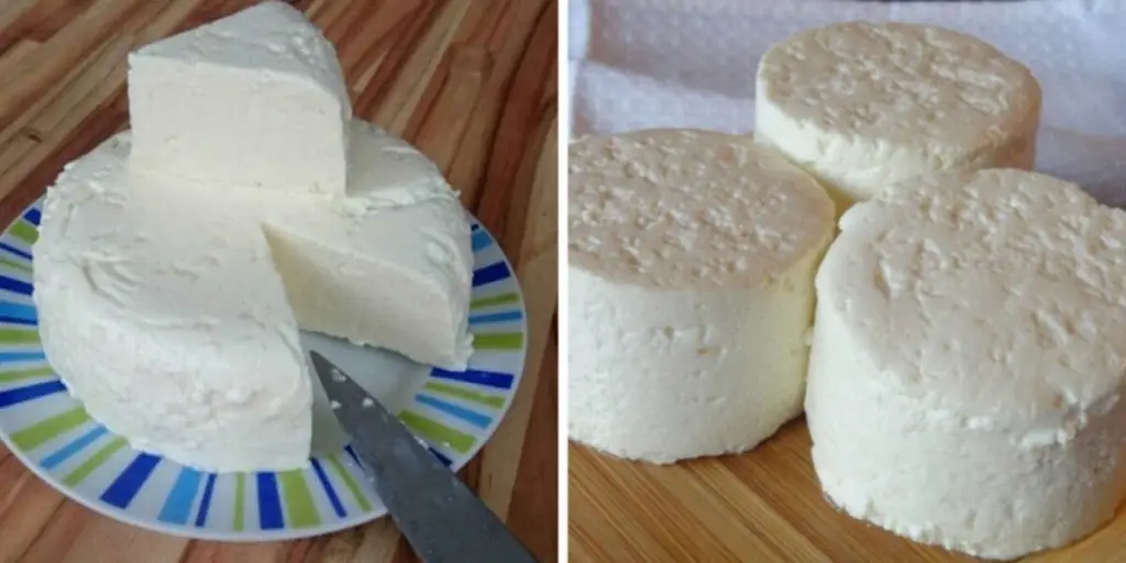 Se hai 1 litro di latte, yogurt e mezzo limone, puoi preparare il miglior formaggio fatto in casa