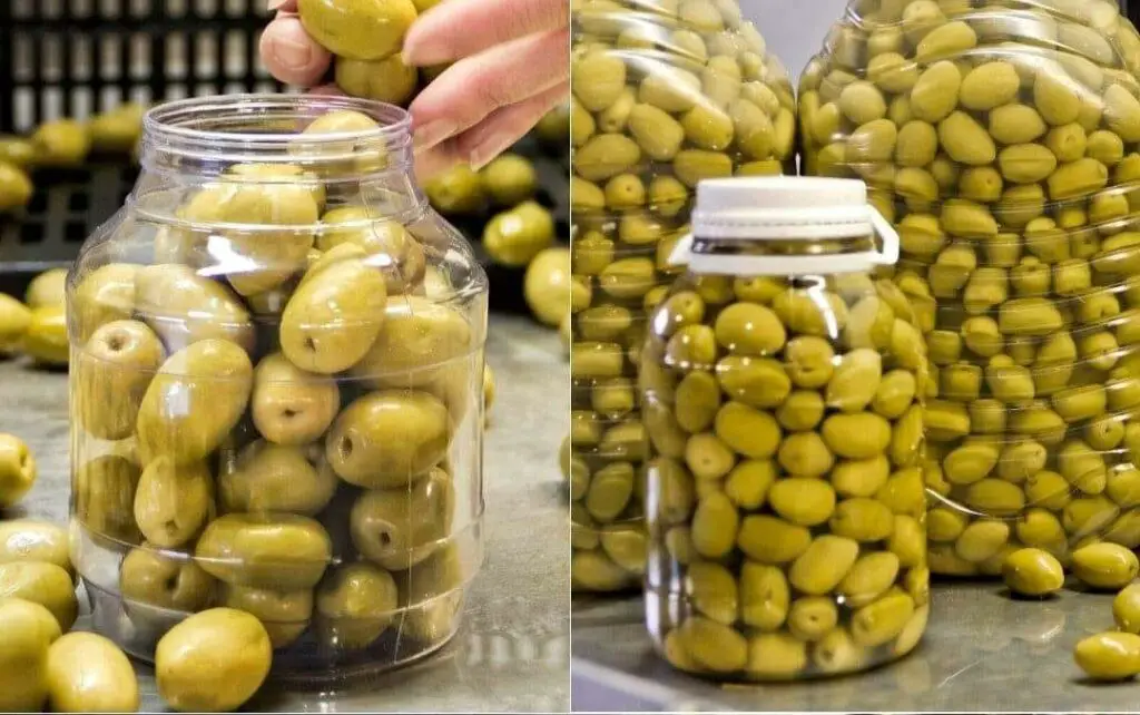 Olive marinate: la ricetta tradizionale delle conserve semplici e gustose