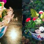 17 idee per mini giardini in una tazza