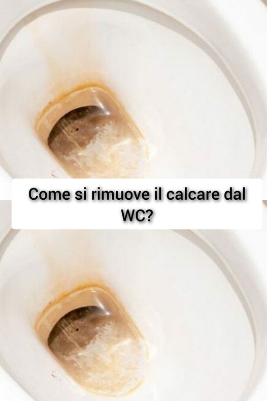 Come si rimuove il calcare dal WC?