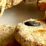 Biscotti d’avena in padella: niente farina, zucchero, burro