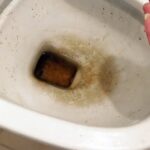 WC puliti e brillanti, ecco il trucco che usano anche gli hotel a 5 stelle