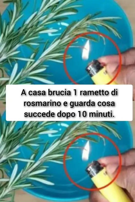 A casa brucia 1 rametto di rosmarino e guarda cosa succede dopo 10 minuti.