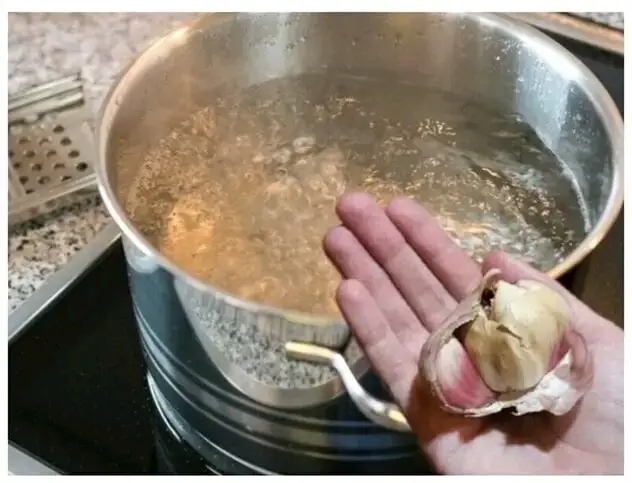 Fai bollire 5 spicchi d’aglio in una pentola capiente e poi usalo così: lo faceva mia nonna per tutta l’estate!