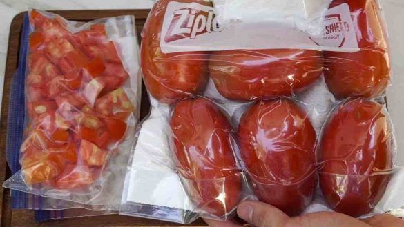 Come conservare i pomodori freschi per 6 mesi, l’utilissimo metodo della nonna