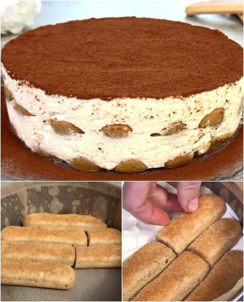 Torta Tiramisù fatta in casa, pronta in 10 minuti – Ricetta veloce, senza uova – Si prepara con 300 ml di caffè, 300 ml di panna liquida, 85 g di zucchero a velo e…