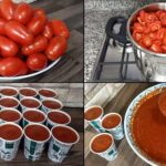 Come conservare i pomodori freschi per 6 mesi, il metodo utilissimo della nonna