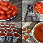 Come conservare i pomodori freschi per 6 mesi, il metodo utilissimo della nonna