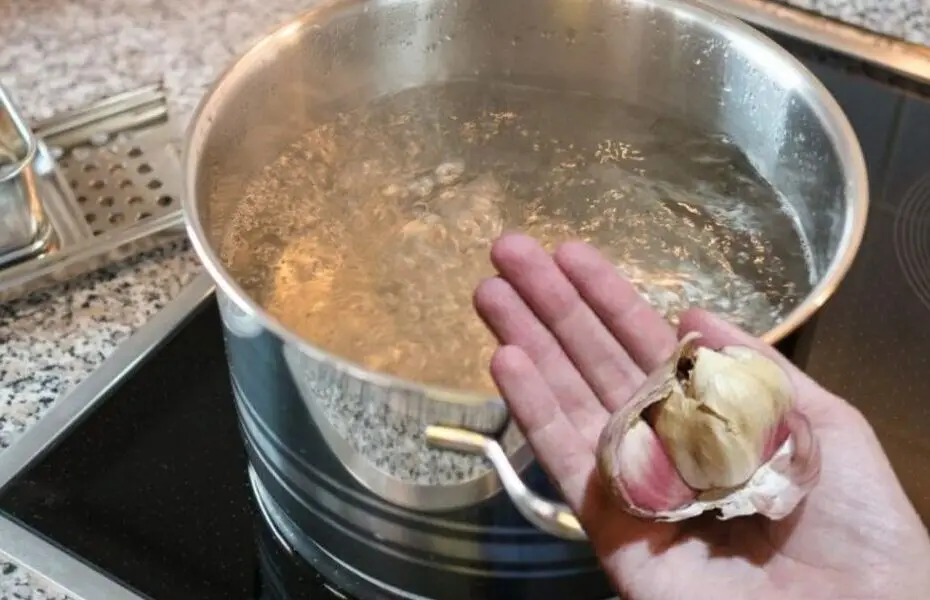 Fate bollire 5 spicchi d’aglio in una pentola capiente e poi usatelo così: mia nonna lo faceva per tutta l’estate!