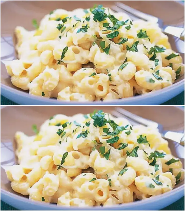 Pasta con salsa cremosa all’aglio e formaggio