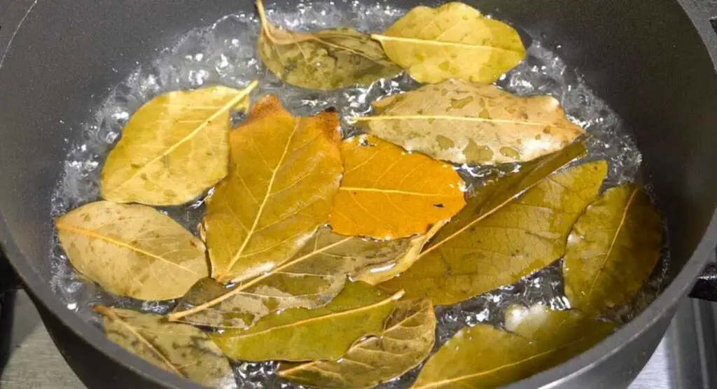 SE LO CUCINI, GLI INSETTI VOLERANNO FUORI DI CASA DOPO CINQUE MINUTI