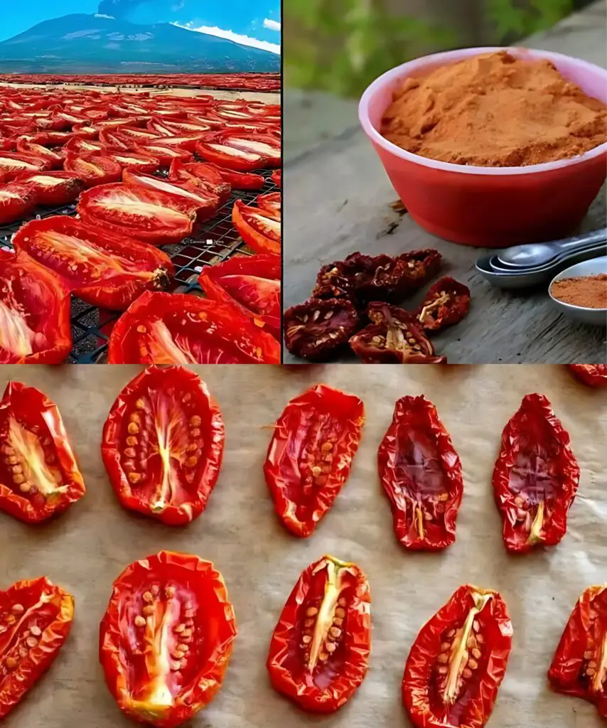 Non lasciate che i vostri pomodori vadano sprecati: trasformateli in una gustosa polvere di pomodoro!