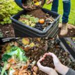 La guida definitiva al compostaggio: trasformare i rifiuti in oro per il giardino