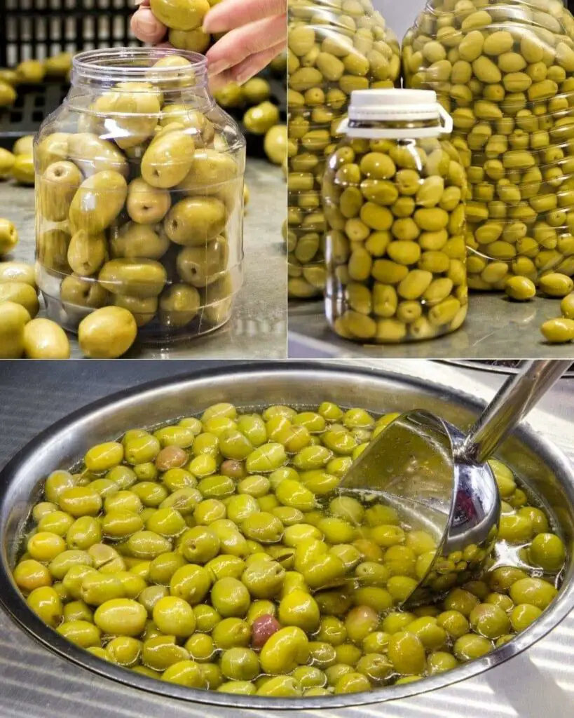 Olive Marinate con Acqua, Sale e Alloro